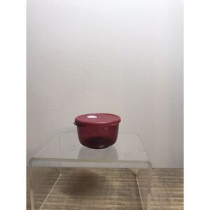 TUPPERWARE MINIATURE RED ROCK N SERVE CONTAINER MAGNET